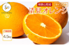 家庭用 森本農園の手選別 清見オレンジ 4.5kg 和歌山県産 サイズ混合 ［北海道・沖縄・離島配送不可］［RN22］［2026年2月上旬から5月中旬頃順次発送予定］