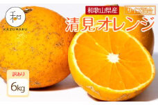訳あり 森本農園の手選別 清見オレンジ 6kg 和歌山県産 サイズ混合 ［北海道・沖縄・離島配送不可］［RN24］［2026年2月上旬から5月中旬頃順次発送予定］