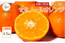 家庭用 森本農園の手選別 セミノールオレンジ 4.5kg 和歌山県産 サイズ混合 ［北海道・沖縄・離島配送不可］［RN27］［2026年4月中旬から順次発送］