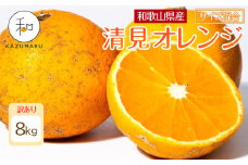 訳あり 森本農園の手選別 清見オレンジ 8kg 和歌山県産 サイズ混合 ［北海道・沖縄・離島配送不可］［RN25］［2026年2月上旬から5月中旬頃順次発送予定］