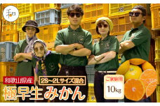家庭用 森本農園の手選別 極早生みかん 10kg  和歌山県産 2S~2Lサイズ混合 ［北海道・沖縄・離島配送不可］［RN29］［2025年10月上旬から順次発送］