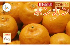 家庭用 森本農園の手選別 ポンカン 6kg 和歌山県産 サイズ混合 ［北海道・沖縄・離島配送不可］［RN32］［2026年1月上旬から順次発送］
