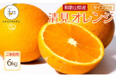 家庭用 森本農園の手選別 清見オレンジ 6kg 和歌山県産 サイズ混合 ［北海道・沖縄・離島配送不可］［RN38］［2026年2月上旬から5月中旬頃順次発送予定］