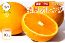 家庭用 森本農園の手選別 清見オレンジ 10kg 和歌山県産 サイズ混合 ［北海道・沖縄・離島配送不可］［RN39］［2026年2月上旬から5月中旬頃順次発送予定］
