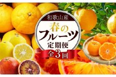 定期便全3回 【2月・3月・4月発送】 和歌山の春の柑橘 （ポンカン・はるか・ブラッドオレンジ）秀品【TM173】