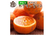 ［先行予約］家庭用 カラマンダリン5kg+250g（傷み補償分）［南津海・なつみ］［希少な春柑橘］［わけあり・訳あり］［みかんと同じように食べられます］［IKE70］