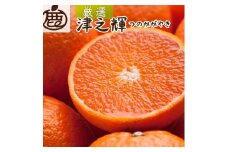 ［先行予約］厳選 津之輝1kg+250g（傷み補償分）［つのかがやき］［せとかに似た柑橘］［光センサー選果］［IKE55］