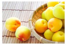 ［梅干・梅酒用］大玉4Lサイズ約10kg熟南高 生梅 赤秀品＜2026年6月上旬～7月7日発送予定＞［ART02］