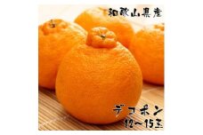 和歌山有田の濃厚大玉デコポン 12～15玉 約5kg［先行予約］［MS79］