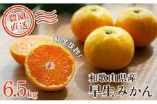 早生みかん 約6.5kg 大小混合 《ご家庭用》ちょっと訳あり 和歌山県より農園直送！まごころ産直みかん 【北海道・沖縄県・一部離島 配送不可】混合サイズ ミカン 蜜柑 温州みかん わけあり 訳アリ【Mg3】