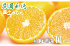 早生みかん 約10kg 大小混合 《ご家庭用》ちょっと訳あり 和歌山県より農園直送！まごころ産直みかん 【北海道・沖縄県・一部離島 配送不可】温州みかん わけあり 訳アリ たっぷり【Mg1】