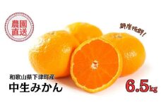 中生みかん 約6.5kg 大小混合 《ご家庭用》ちょっと訳あり和歌山県下津町より農園直送！12月中旬頃発送開始 まごころ産直みかん 【北海道・沖縄県・一部離島 配送不可】混合サイズ わけあり 訳アリ【Mg11】