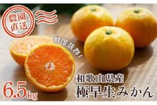 極早生みかん 約6.5kg 大小混合 《ご家庭用》ちょっと訳あり 和歌山県より農園直送！まごころ産直みかん【北海道・沖縄県・一部離島 配送不可】混合サイズ ミカン 蜜柑 温州みかん わけあり 訳アリ【Mg2】