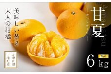 甘夏 約6kg 大小混合 《秀品》和歌山県より農園直送！まごころ産直みかん【北海道・沖縄県・一部離島 配送不可】サンフルーツ 新甘夏 田ノ浦オレンジ あまなつ みかん【Mg8】