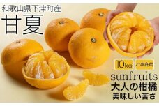 甘夏 約10kg 大小混合 《ご家庭用》和歌山県より農園直送！まごころ産直みかん【北海道・沖縄県・一部離島 配送不可】サンフルーツ 新甘夏 田ノ浦オレンジ あまなつ みかん【Mg10】
