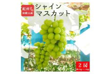 紀州和歌山産 シャインマスカット2房（約1kg〜1.4kg）【UT120】
