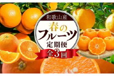 和歌山の春のフルーツ（ポンカン・清見オレンジ・セミノールオレンジ）定期便 全3回 【2月・3月・4月発送】【TM184】