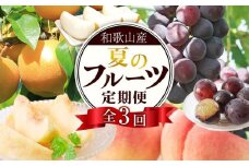 定期便全3回 【7月・8月・9月発送】 和歌山の夏のフルーツをお届け（桃・梨・たねなしピオーネ）【TM179】