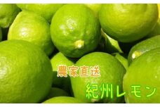 農家直送 紀州 レモン 約2kg【MS94】