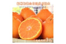 ［ご家庭用訳あり］紀州有田産不知火(しらぬひ) 約3kg［2026年2月中旬以降発送］［先行予約］［UT135］