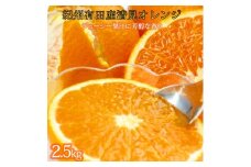 とにかくジューシー清見オレンジ 約2.5kg［2026年3月下旬以降発送］［先行予約］［UT131］