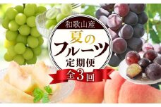 定期便全3回 【7月・8月・9月発送】 和歌山のフルーツをお届け（桃・たねなしピオーネ・シャインマスカット）【TM180】