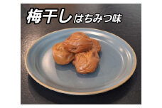 訳あり 梅干し 大粒 大玉 つぶれ梅 はちみつ梅 約500g × 3回 塩分8％ [ 定期便 2か月に１回発送・全3回 ]