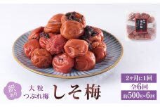 訳あり 梅干し 大粒 大玉 つぶれ梅 しそ梅 約500g × 6回 塩分10％ [ 定期便 2か月に１回発送・全6回 ]