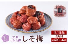 訳あり 梅干し 大粒 大玉 つぶれ梅 しそ梅 約500g × 6回 塩分10％ [ 定期便 毎月発送・全6回 ]