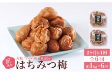 訳あり 梅干し 大粒 大玉 つぶれ梅 はちみつ梅 約1kg(500g×2) × 6回  塩分8％ [ 定期便 2か月に１回発送・全6回 ]