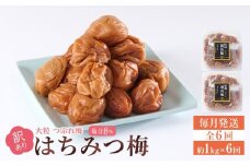 訳あり 梅干し 大粒 大玉 つぶれ梅 はちみつ梅 約1kg(500g×2) × 6回  塩分8％ [ 定期便 毎月発送・全6回 ]