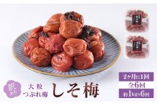 訳あり 梅干し 大粒 大玉 つぶれ梅 しそ梅 約1kg (500g×2)  × 6回 塩分10% [ 定期便 2か月に１回発送・全6回 ]