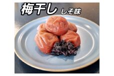 訳あり 梅干し 大粒 大玉 つぶれ梅 しそ梅 約1kg (500g×2)  × 6回 塩分10% [ 定期便 毎月発送・全6回 ]