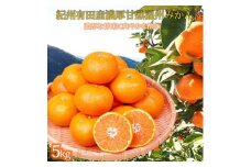 ［ご家庭用訳アリ］紀州有田産濃厚完熟温州みかん 約5kg ［2025年11月下旬以降発送 先行予約 ］［UT13］