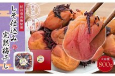 紀州南高梅使用 しそ仕込み完熟梅干し 無選別 約800g 塩分 約10％ [TM196]