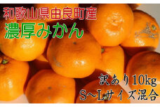 【訳あり・ご家庭用】 和歌山由良町産のみかん 約10kg サイズ混合 ［TM201］
