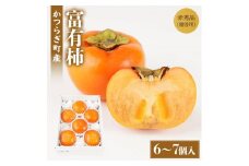 富有柿 赤秀品大玉6個～7個入 こだわり農家厳選［KG30］