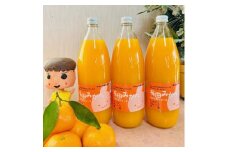 【無添加】有田みかん100%のジュース1,000ml×3本 みかんジュース 濃厚 柑橘 果物 フルーツ 甘い 100％ストレートジュース 【MS105】