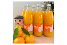 【無添加】有田みかん100%のジュース1,000ml×6本 みかんジュース 濃厚 柑橘 果物 フルーツ 甘い 100％ストレートジュース 【MS106】