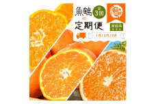 【1・2・3月 全3回 定期便】紀州和歌山産旬のご家庭用柑橘セット(みかん・不知火・清見)【UT129】