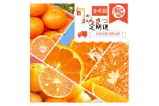 【1・2・3・4月 全4回 定期便】紀州和歌山産旬のご家庭用柑橘セット(みかん・不知火・せとか・清見)【UT130】