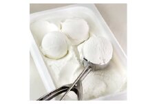 ［無添加、卵・乳不使用］ヴィーガンココナッツソルベ1L
