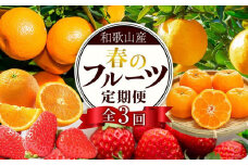 定期便全3回 【2月・3月・4月発送】 和歌山の春のフルーツ （ポンカン・清見オレンジ・まりひめ）【TM174】