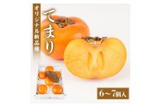 紀州てまり（和歌山県ブランド柿）6～7個入 こだわり農家厳選 先行予約 ［KG27］