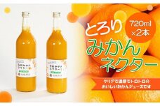 とろり みかんネクター 720ml×2本［IKE225］