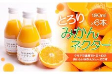 とろり みかんネクター 180ml×6本［IKE231］