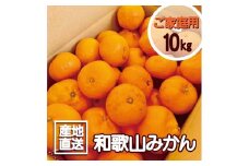 【訳あり】和歌山みかん約9.5kg+補償分約500g サイズ混合 11月より順次発送 訳ありみかん 【red1】