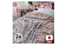 ［2枚組］椿オイル加工 ふんわり綿毛布 シングルサイズ（約140×200cm）×1セット（ピンク1枚・ブルー1枚） CNM-300-2P