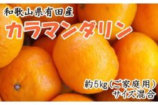【2026年4月より順次発送】 和歌山有田産カラマンダリン約5kg サイズ混合 ご家庭用 【春みかん】先行予約  ［TM208］