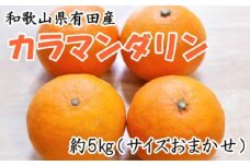 【春みかん】和歌山有田産 カラマンダリン 約5kg サイズおまかせ ★2026年４月より順次発送 ［TM209］